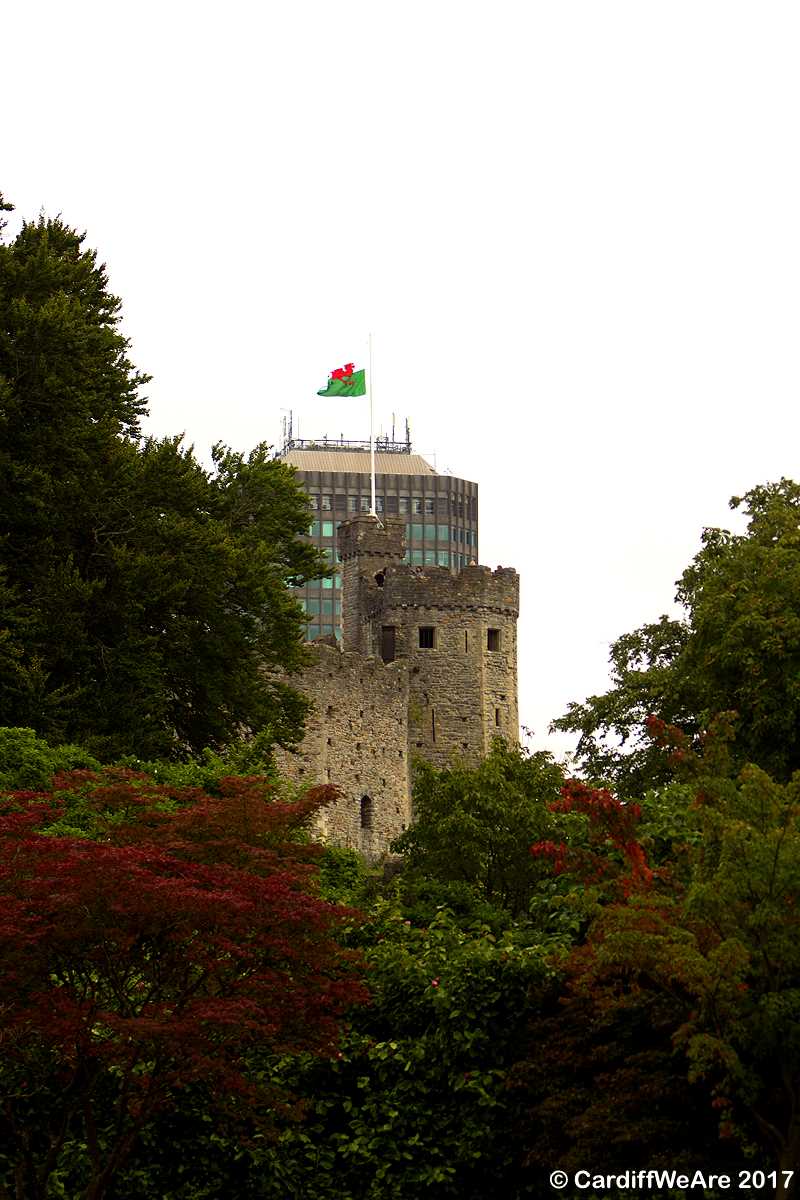 Cardiff Castle from Bute Park