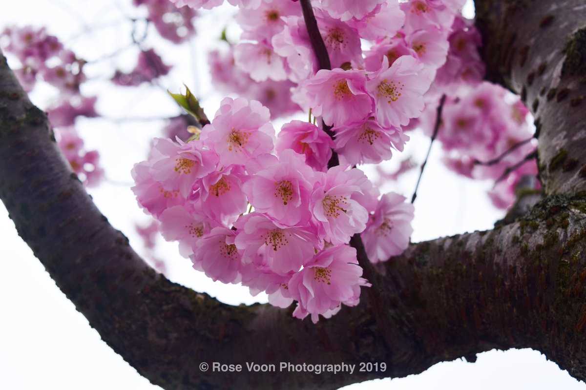 A collection of amazing Spring photography