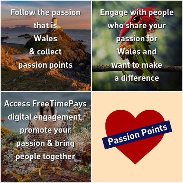 Are you passionate about Wales? Join Us!